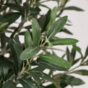 Planta artificial olivo 150 cm nortene