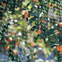 Malla antipájaros Birdnet verde Nortene