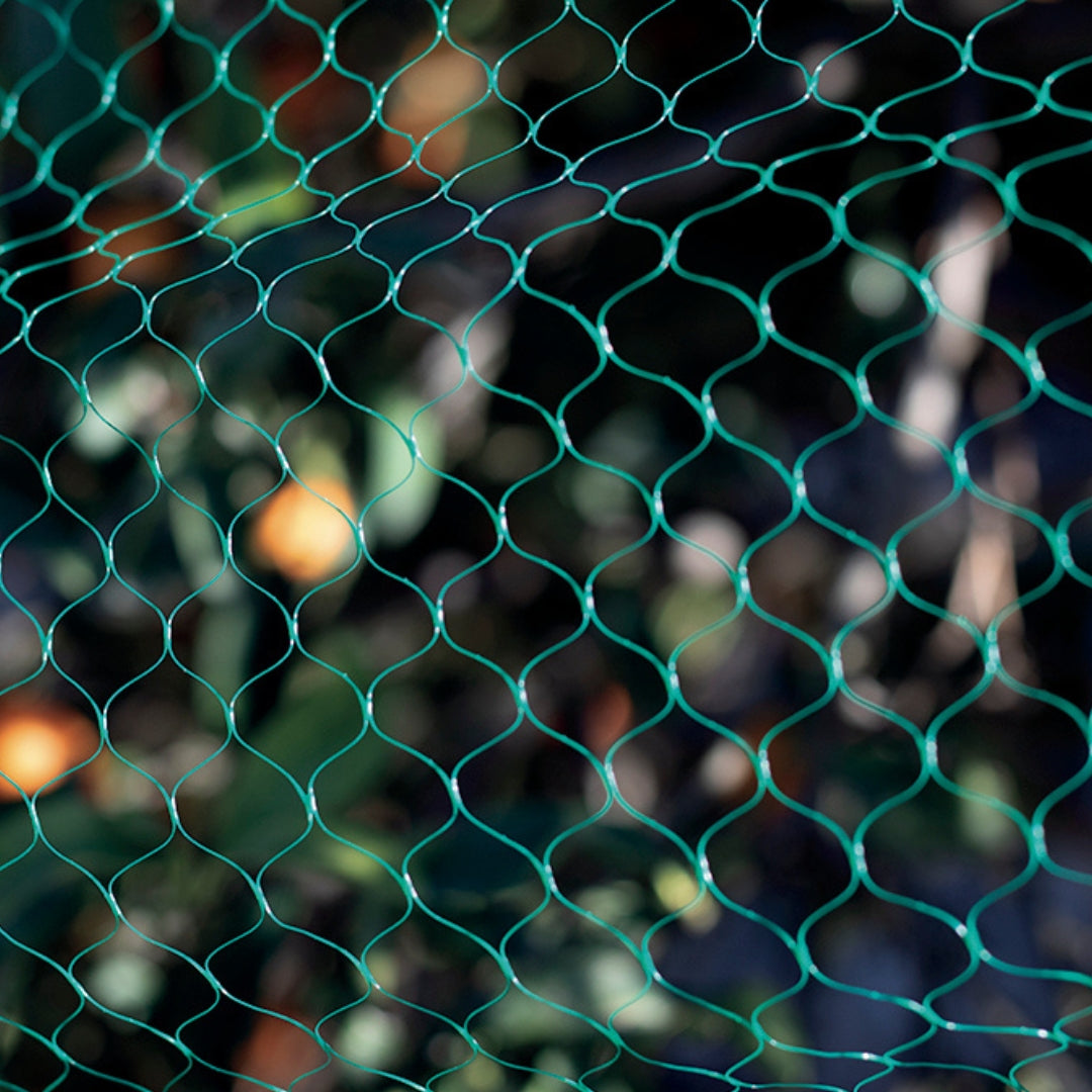 Malla antipájaros Birdnet verde Nortene