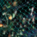 Malla antipájaros Birdnet verde Nortene
