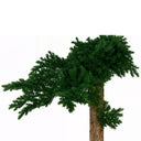 Árbol preservado juniperus 160 cm