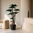 Árbol preservado juniperus 160 cm