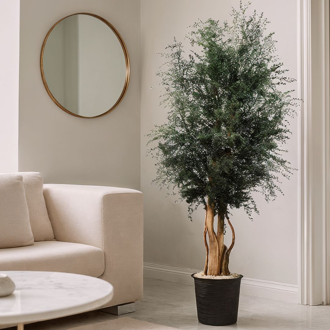 Árbol preservado parvifolia 130 cm