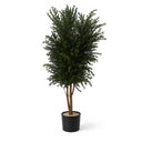 Árbol preservado parvifolia 130 cm