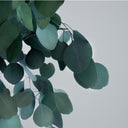 Árbol preservado populus 130 cm