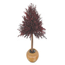 Planta preservada Eucalyptus rojo Nortene