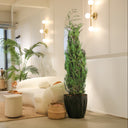 Planta preservada Blue Ice Nortene