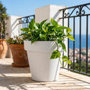 Maceta redonda TES blanco ø26 cm