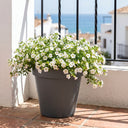 Maceta redonda TES antracita ø26 cm