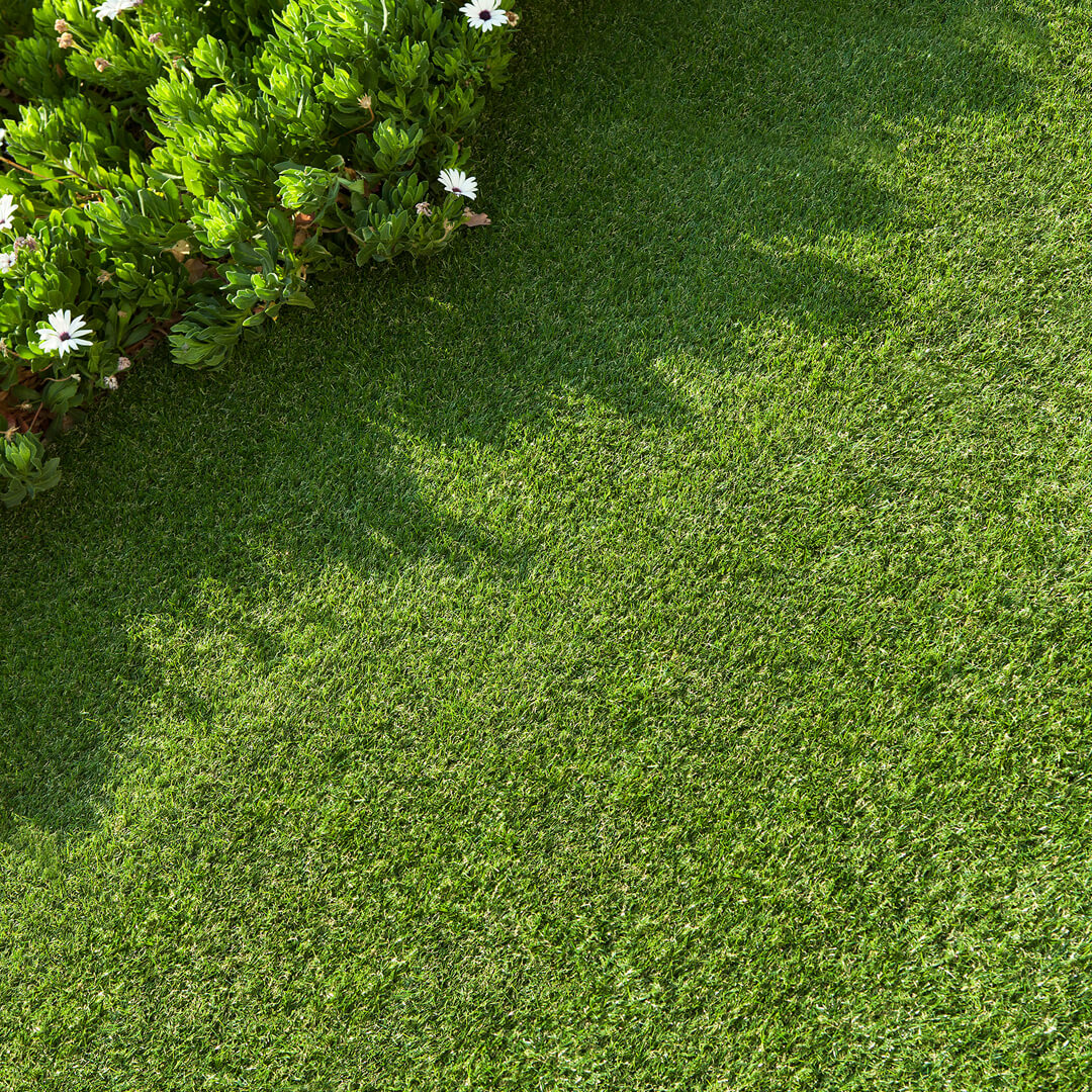 CALPE EN GAZON ARTIFICIEL 20 MM