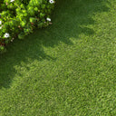 CALPE EN GAZON ARTIFICIEL 20 MM