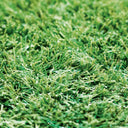 CESPED NEW PIAZZA X-TRA S40