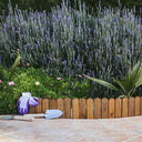 BORDO FLAT 120X20 CMS