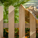 Valla clásica madera de pino tratada