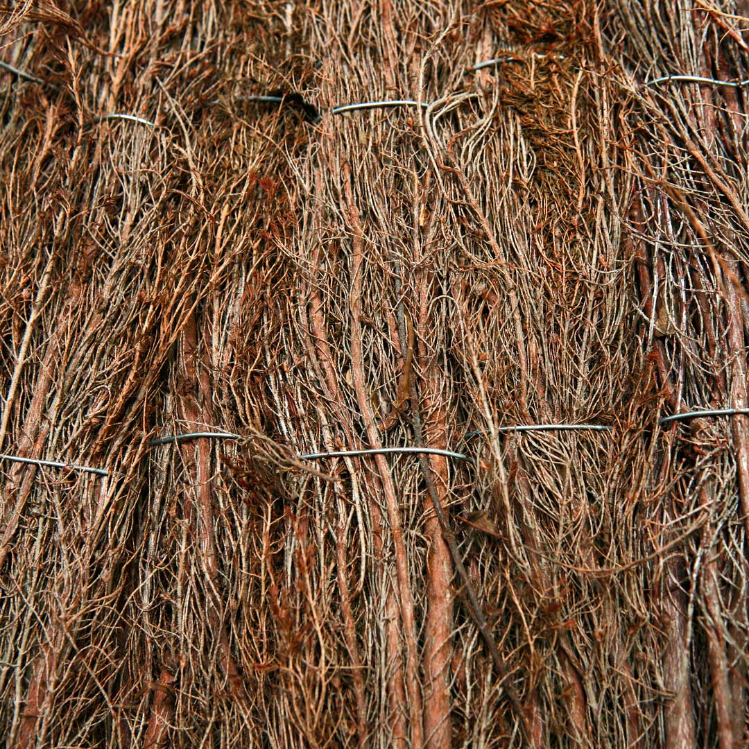 MANTO DE BREZO DE 2.40 Mts