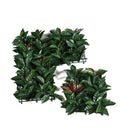 SETO ARTIFICIAL LIPTUS 50 X 50