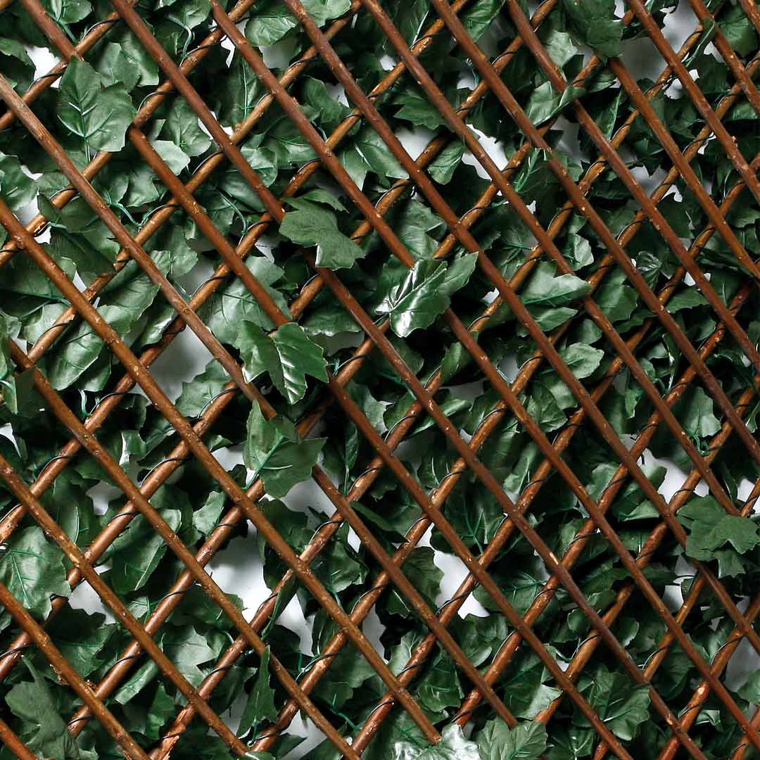 CELOSÍA EXTENSIBLE CON HOJAS