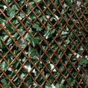 CELOSÍA EXTENSIBLE CON HOJAS