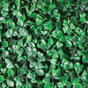 PACK 4 LOSETAS BOJ 25 X 25