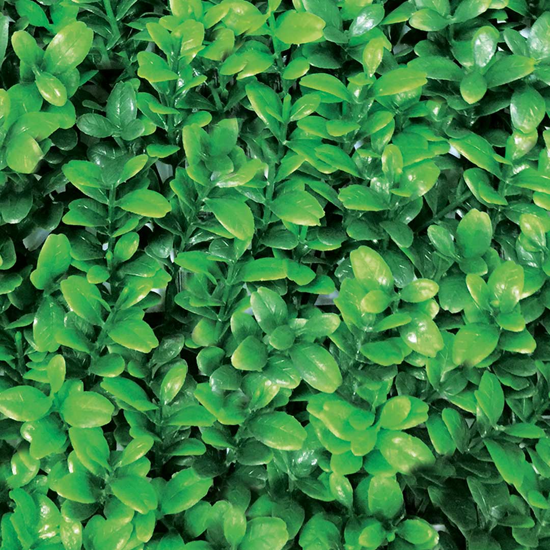 PACK 4 LOSETAS BOJ MAHON 25X25 CM