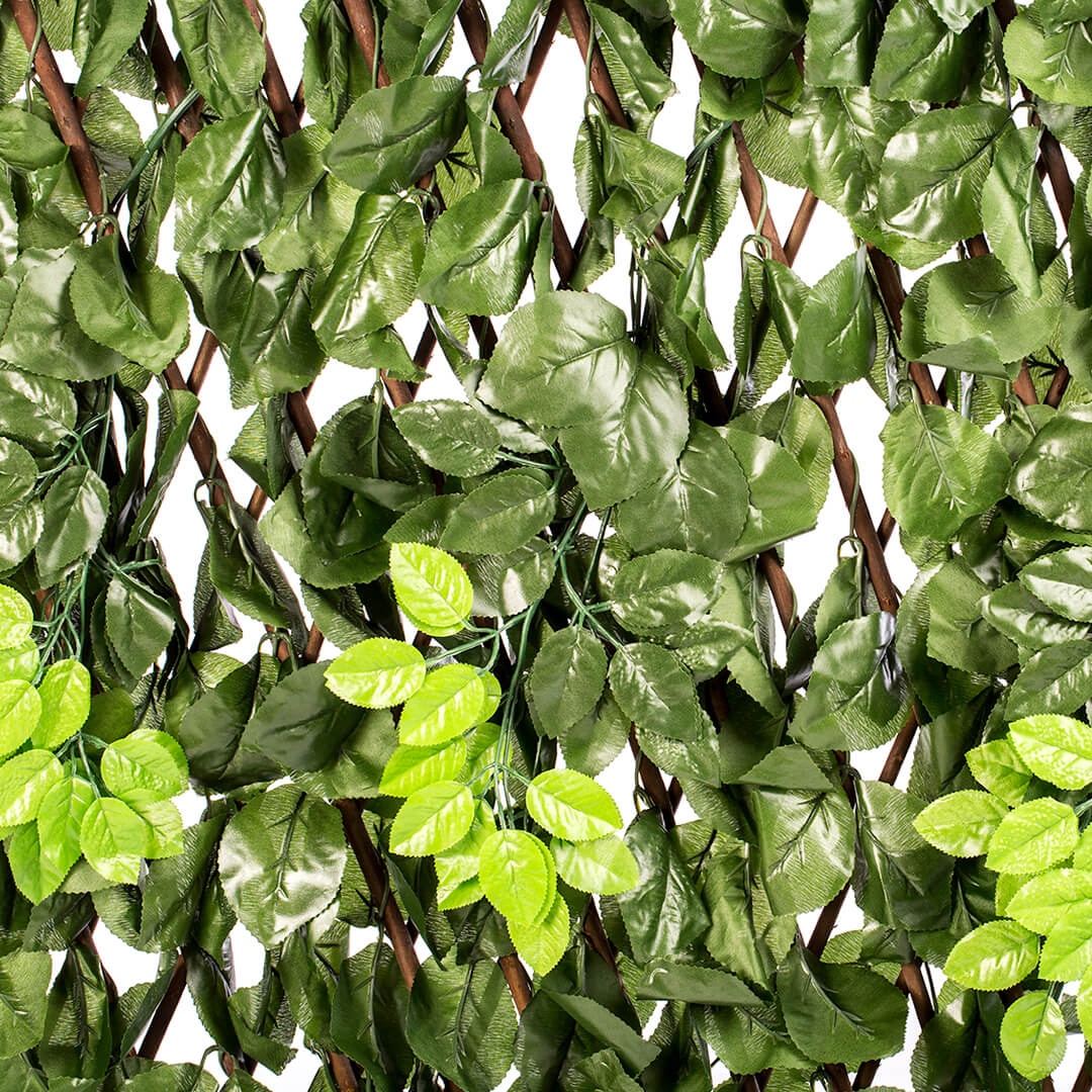 TREILLIS EN OSIER EXTENSIBLE FEUILLE DE LAURIER