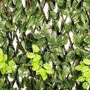 TREILLIS EN OSIER EXTENSIBLE FEUILLE DE LAURIER