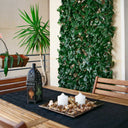 Celosia extensible con hojas basic