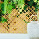 CELOSIA PVC 48 MM.1X2