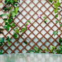 CELOSIA PVC 48 MM.1X2