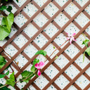 CELOSIA PVC 48 MM.1X2