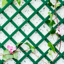 CELOSIA PVC 48 MM.1X2