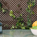 CELOSÍA FIJA PVC MARRÓN 18 MM