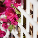 CELOSÍA FIJA PVC BLANCA 18 MM