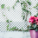 CELOSÍA FIJA PVC BLANCA 18 MM