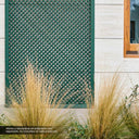 CELOSÍA ECOLÓGICA LOP VERDE