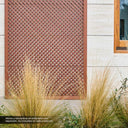 CELOSÍA ECOLÓGICA LOP MIMBRE