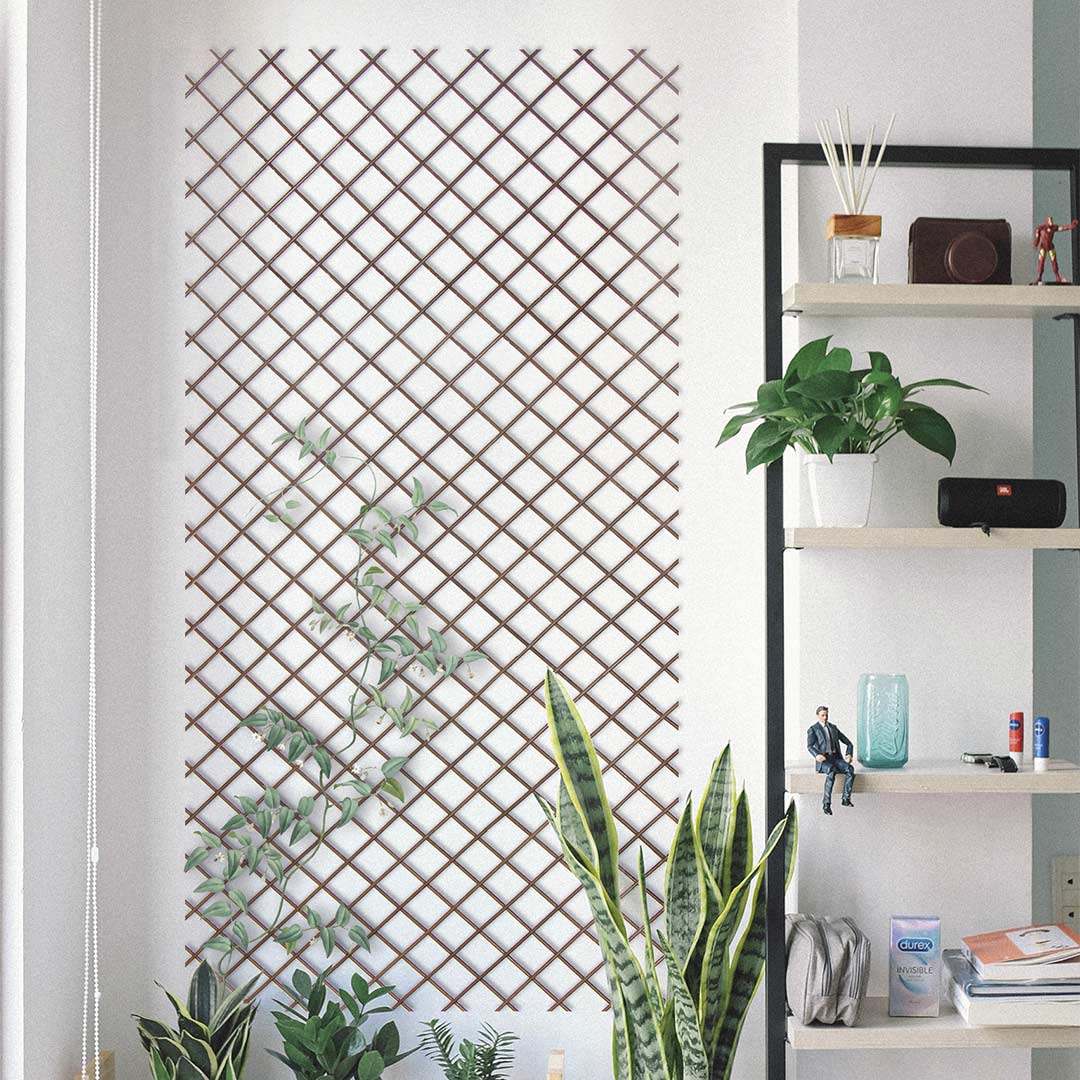 Celosia extensible urbamboo 0,5x1,5 m nortene