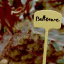 Confezione da 10 etichette e marcatore per etichette da 13 cm (settentrionali)