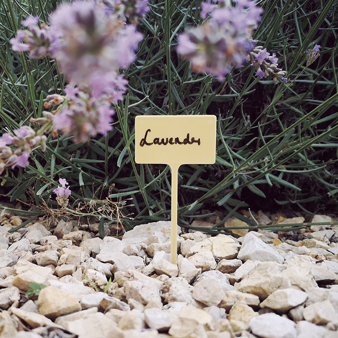 Confezione da 10 etichette e marcatore per etichette da 13 cm (settentrionali)