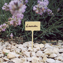 PACK OF 10 LABELS AND 13 CM LABEL MARKER NORTENE