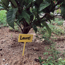 Confezione da 10 etichette e marcatore per etichette da 13 cm (settentrionali)