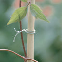 Atadura rugosa r fx 50 m verde nortene