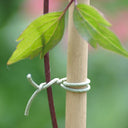 Atadura rugosa r fx 50 m verde nortene