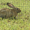 MALLA CUADRADA GALV.PLAST. CUAD.19 MM.