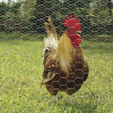 MAGLIA QUADRATA ESAG.ZINC.TRIP.TROS. 40 MM.