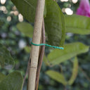 NATURAL BAMBOO TUTOR 15 DIAM. 10/12 MM. 