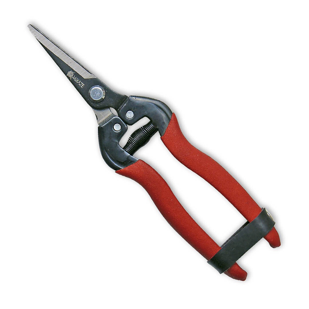 TIJERA DE RECOLECCION T-556