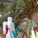 LANZA TELESCOPICA 5M FITOSANITARIOS PULMIC