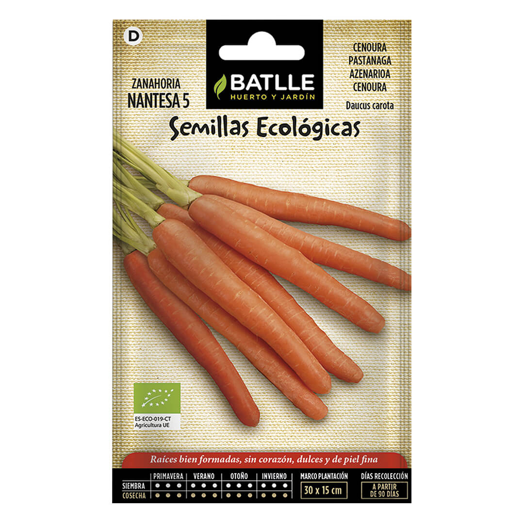 ZANAHORIA NANTESA  ECO