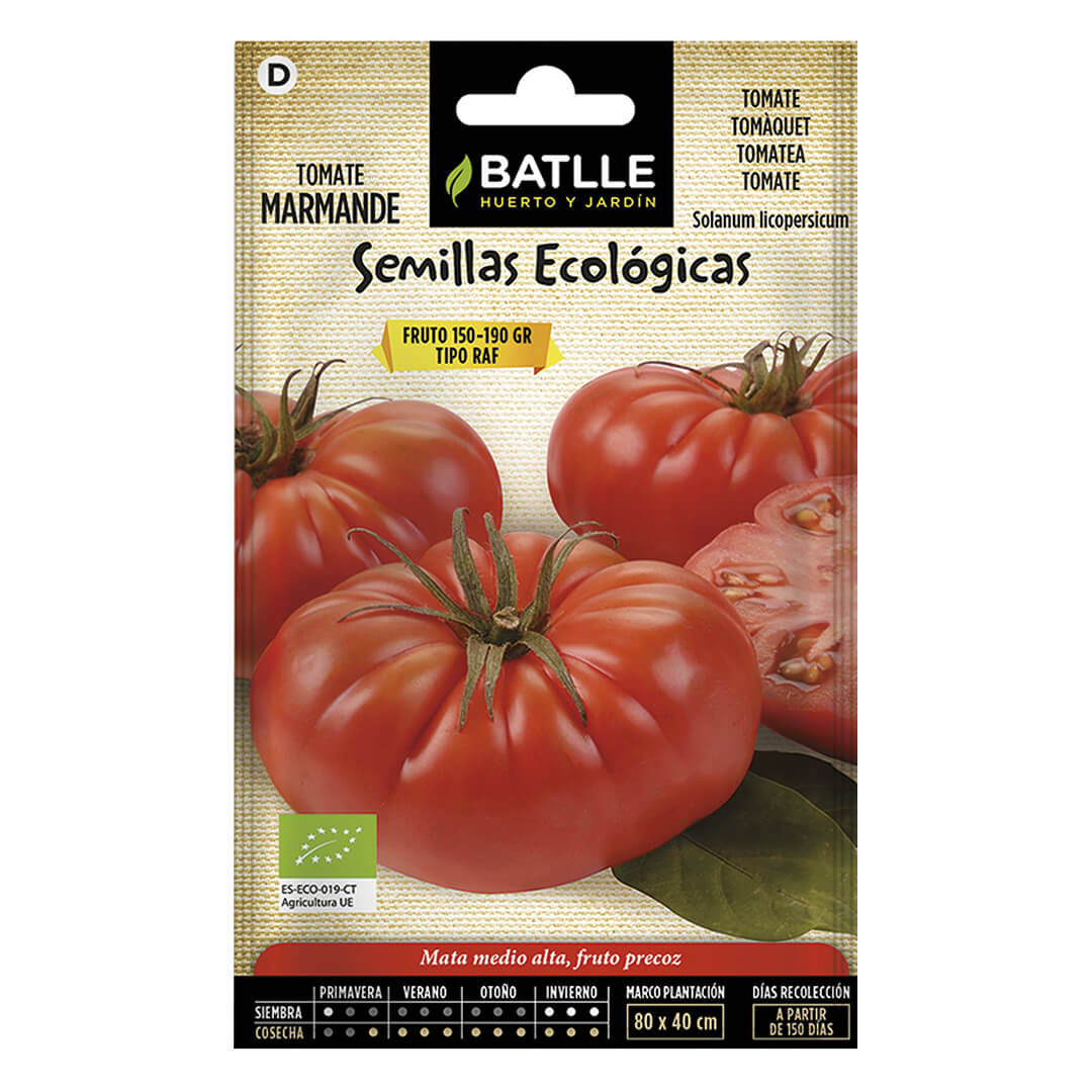 TOMATE MARMANDE RAF  ECO